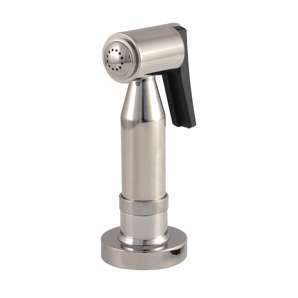 Concord Brass Sprayer, Polished Nickel
